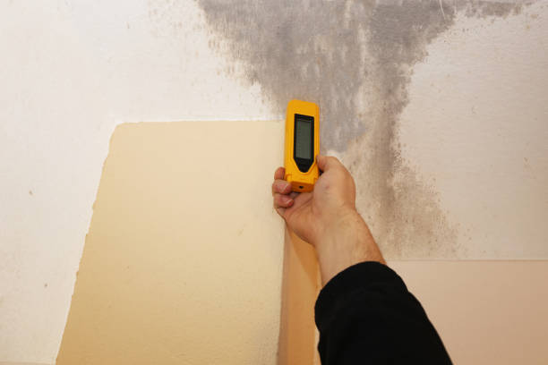 Best Asbestos and Lead Testing During Mold Inspection  in High Bridge, NJ