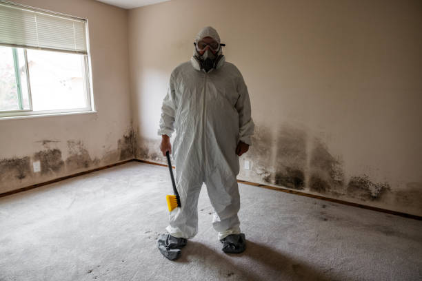 Best Commercial Mold Inspection  in High Bridge, NJ